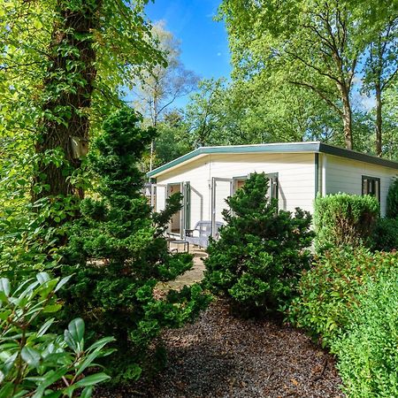 Luxe Familiehuis Veluwe 4-6 Persons Pool Kids Dog Hoenderloo Dış mekan fotoğraf